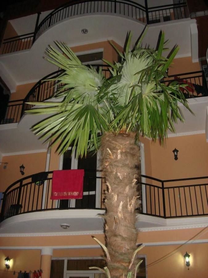 Отель Hotel Resanda Кобулети-21