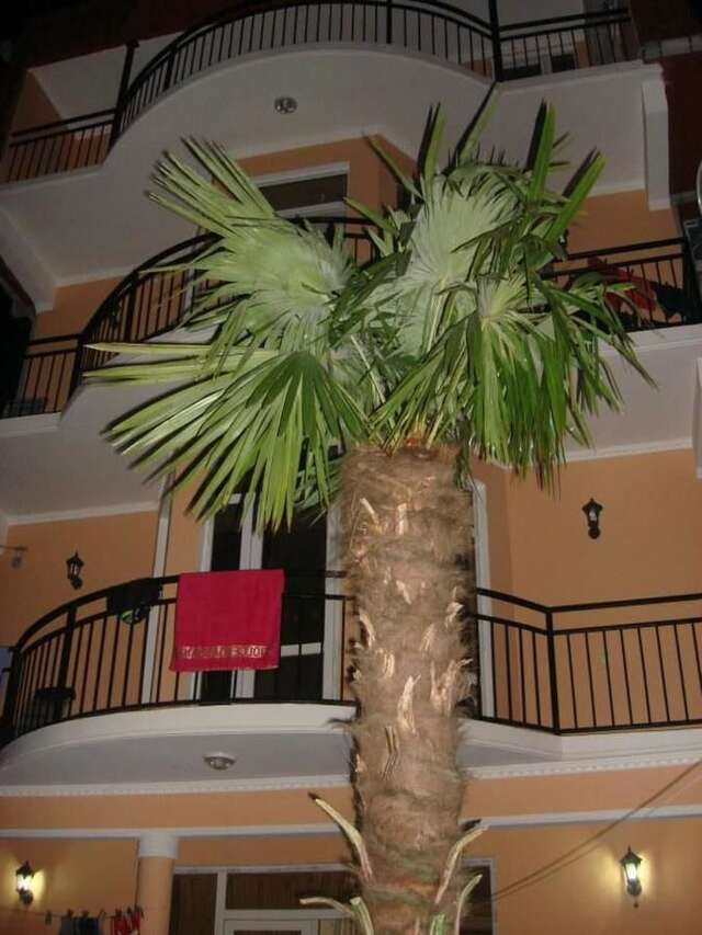 Отель Hotel Resanda Кобулети-20